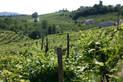 اتاق استاندارد یک نفره, B&b Alla Pergola