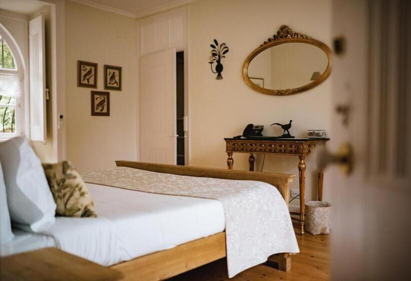 수피리어 테라스 룸, Casa Holstein Quinta De Sao Sebastiao Sintra