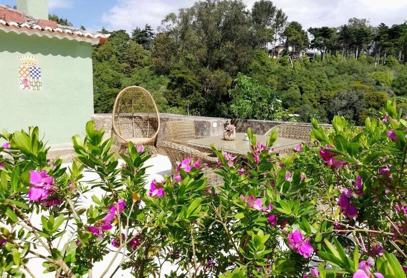 수피리어 테라스 룸, Casa Holstein Quinta De Sao Sebastiao Sintra