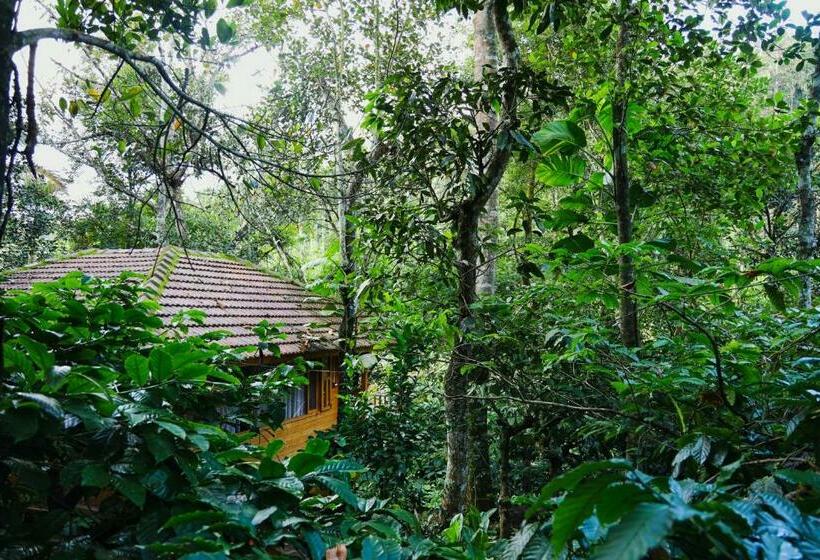 Семейный Номер, Bamboo Creek Resort