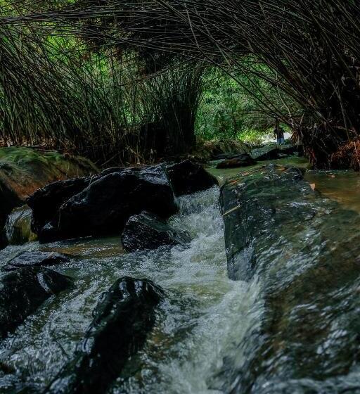 家庭间, Bamboo Creek Resort