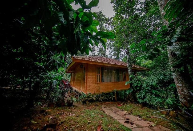 家庭间, Bamboo Creek Resort