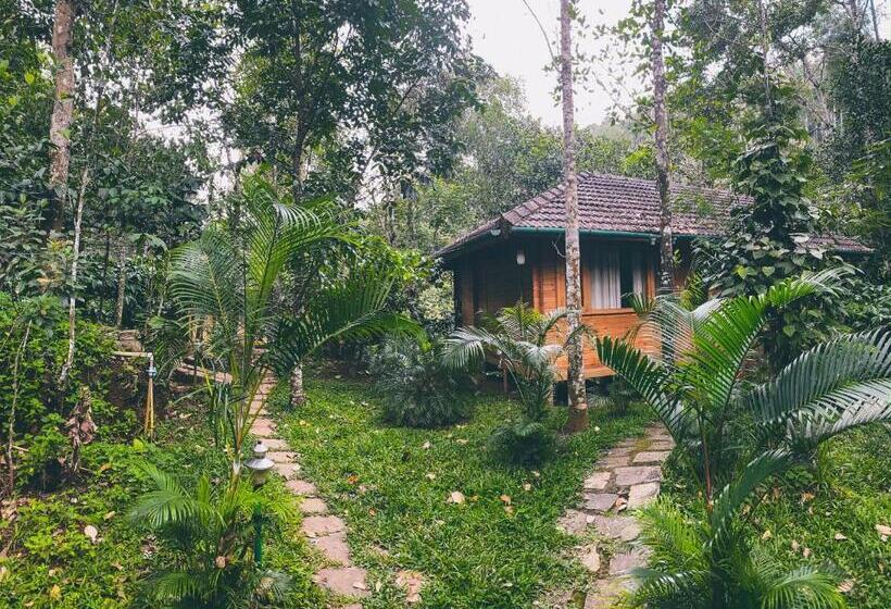 Семейный Номер, Bamboo Creek Resort