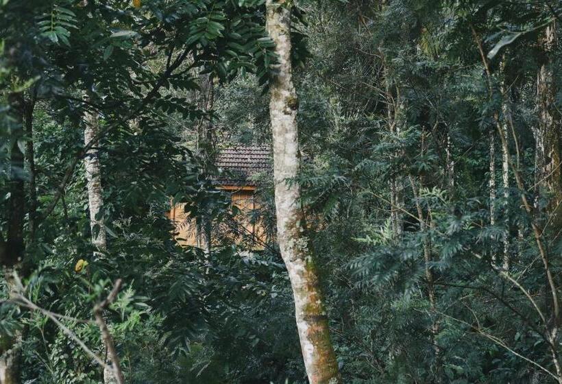 Стандартный Номер Кровать Кинг, Bamboo Creek Resort