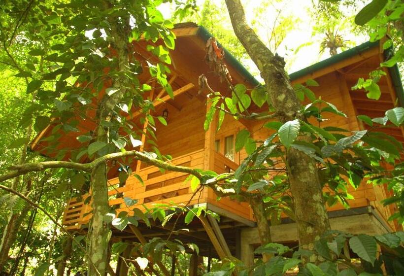 家庭间, Bamboo Creek Resort