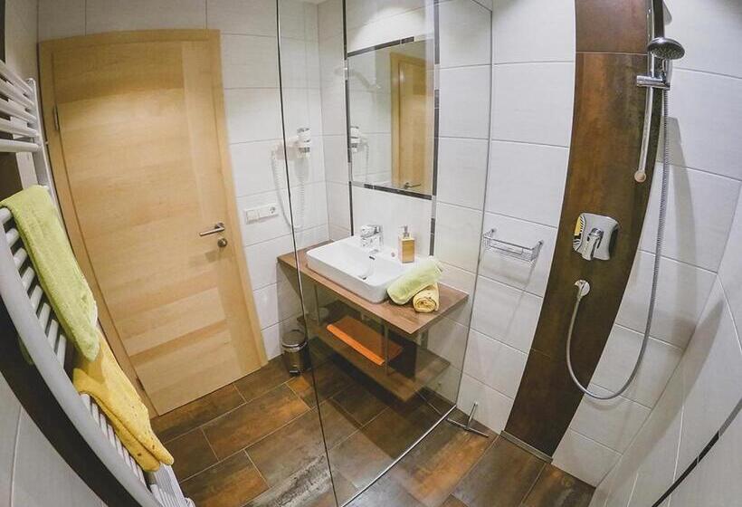 Апартаменты 1 Спальня, Appartements Macheiner