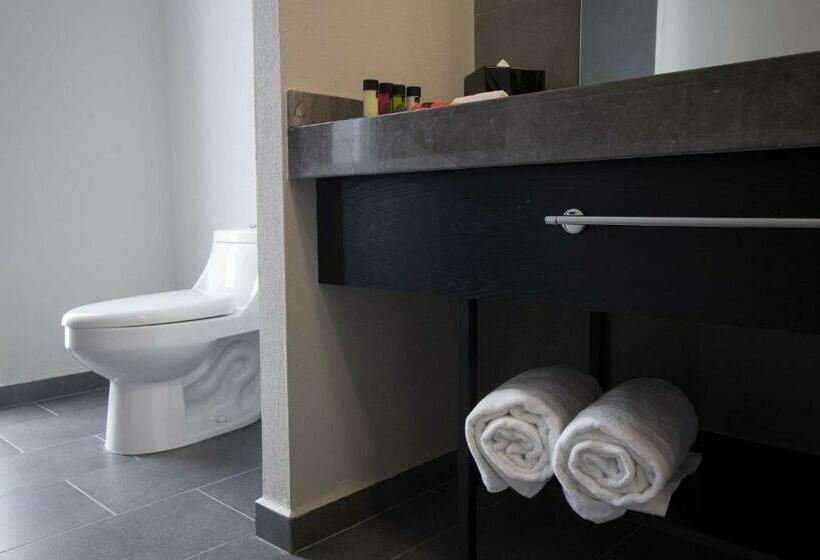 جناح جونيور, Tryp By Wyndham San Luis Potosi Hotel & Suites
