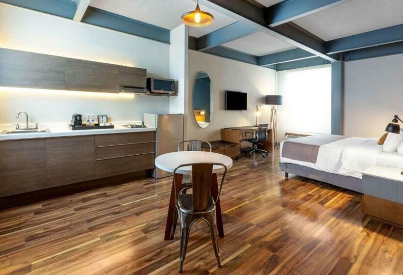 جناح جونيور, Tryp By Wyndham San Luis Potosi Hotel & Suites