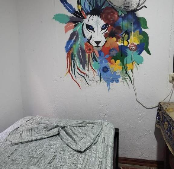 스탠다드 싱글 룸, Downtown Montezuma Hostel