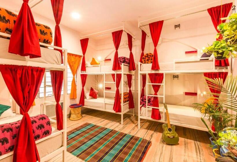 共用房间的床, Gostops Jaipur