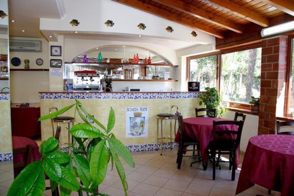Апартаменты 1 Спальня, Mediterraneo Residence