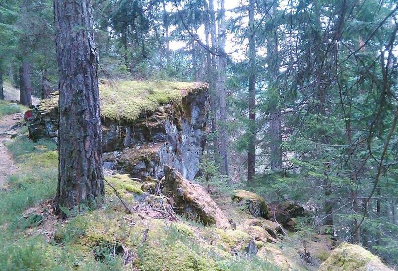 آپارتمان 1 خوابه, Guesthouse Seghetto