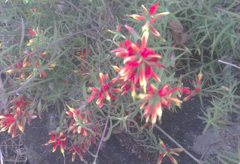 آپارتمان 1 خوابه, Guesthouse Seghetto