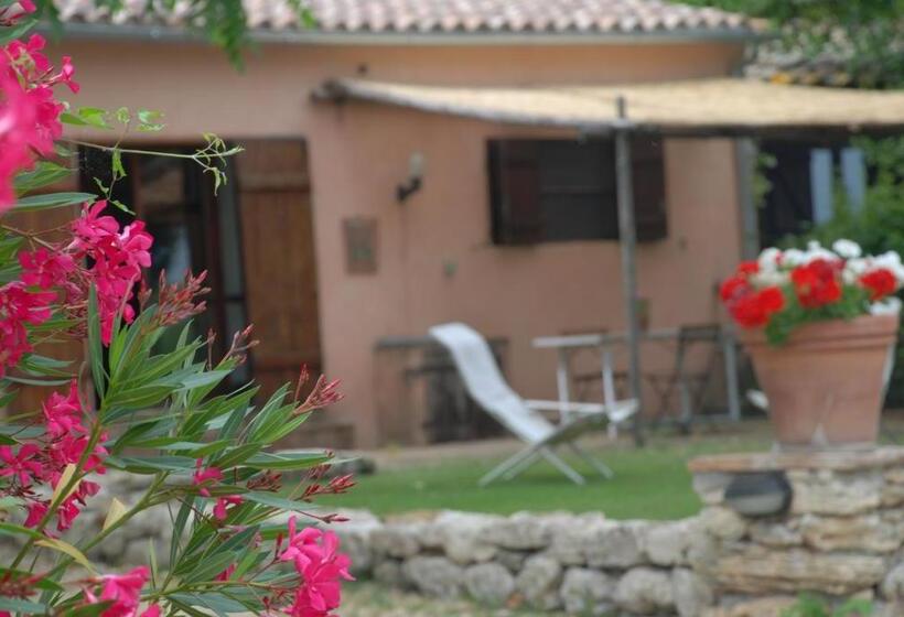 آپارتمان 1 خوابه, Podere Conte Racani