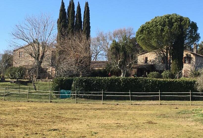 آپارتمان 1 خوابه, Podere Conte Racani