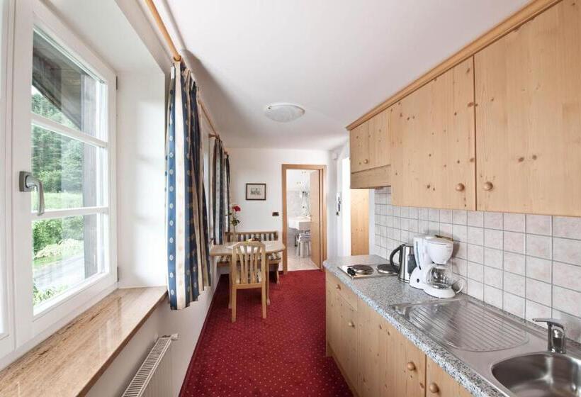 Студио Стандарт с Балконом, Alpwellhotel Burggräfler