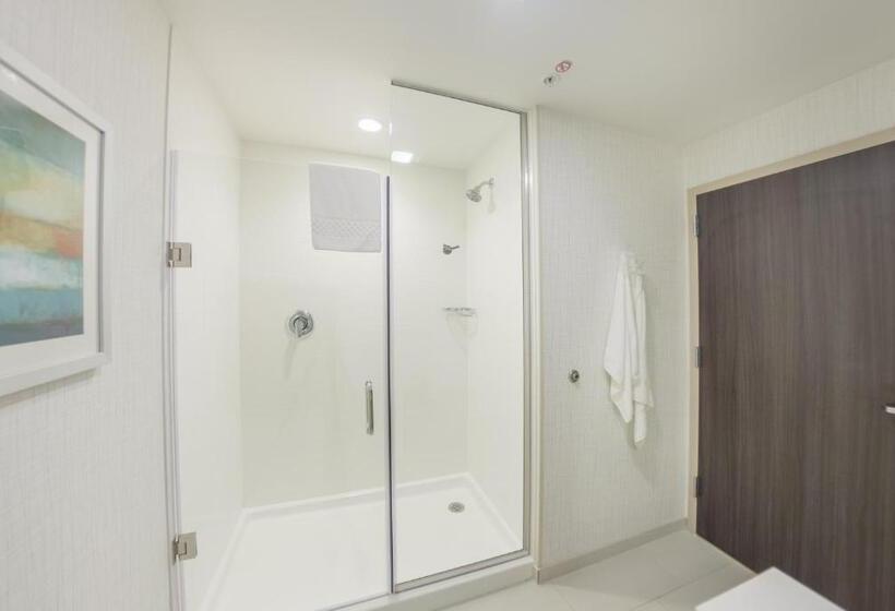 Люкс Кровать Кинг, Fairfield Inn & Suites By Marriott Des Moines Altoona