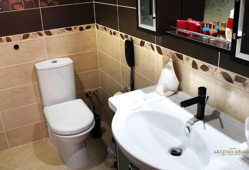 Люкс Повышенной Комфортности, Artemis Resort Wellness