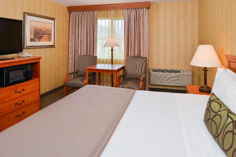 اتاق استاندارد با چشم‌انداز استخر, Gewan Hotel Cairo