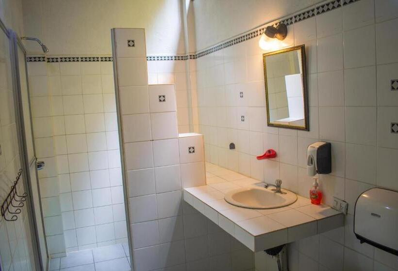 Кровать в Общей Комнате, Hostel Plinio