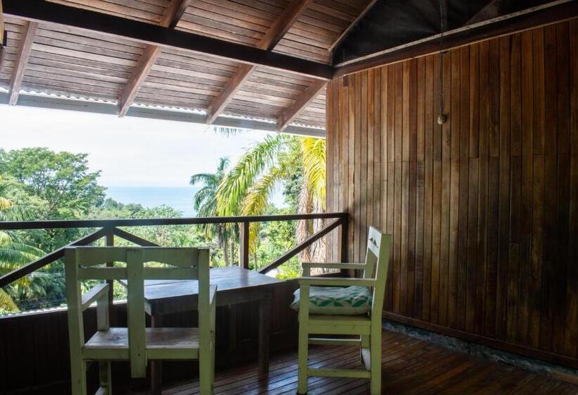 Номер Стандарт Совместная Ванная, Hostel Plinio