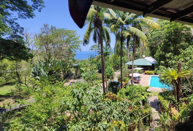 Четырехместный Номер Стандарт, Hostel Plinio