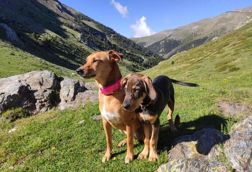 스탠다드 싱글 룸, Vall de Núria