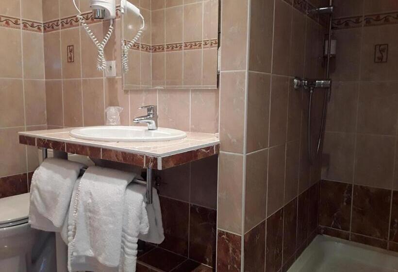 Номер Стандарт Вид на Озеро, Hôtel Evian Express   Terminus