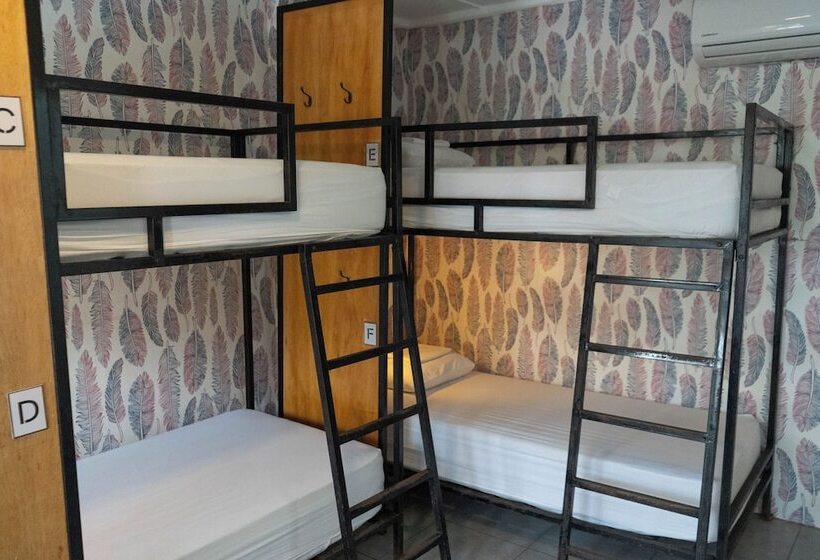 Кровать в Общей Комнате, Socialtel Montañita   Formerly Selina Montañita
