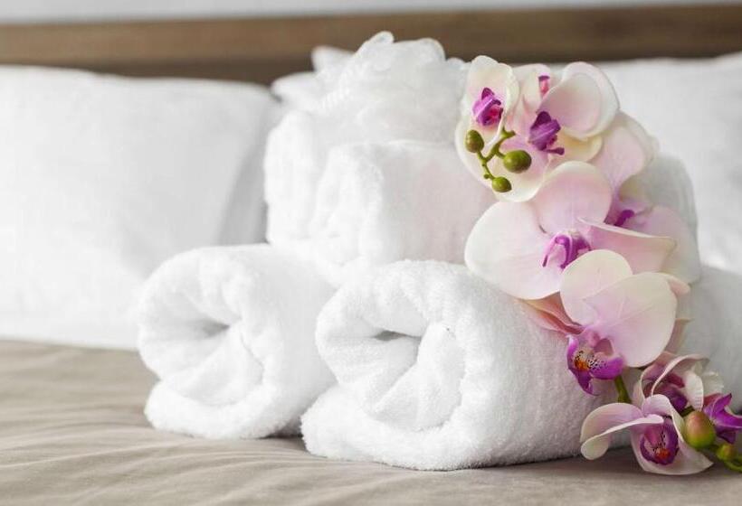 스탠다드 룸 킹사이즈 침대, Express Inn Newport News