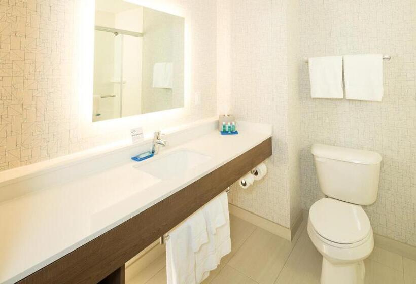 高级套房, Holiday Inn Express & Suites   Kalamazoo West, An Ihg