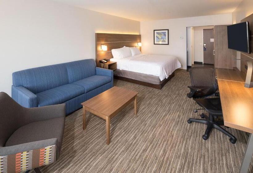 适合残疾人士使用的套间, Holiday Inn Express & Suites   Kalamazoo West, An Ihg