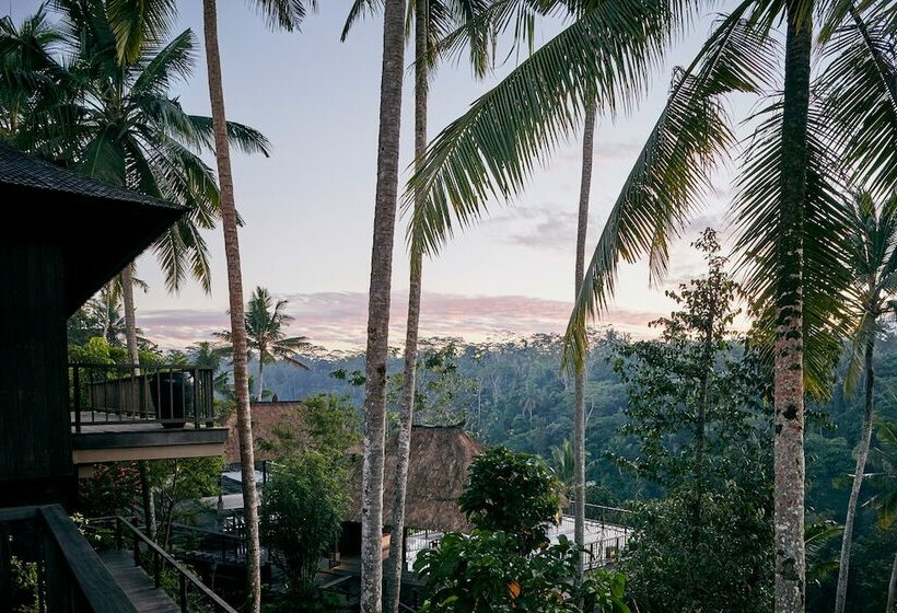 ویلای 1 خوابه, Hoshinoya Bali