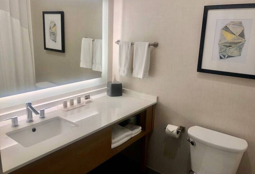 适合残疾人士使用的套间, Holiday Inn & Suites Houston Nw   Willowbrook By Ihg