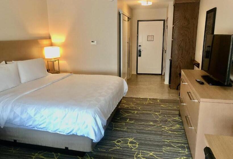 标准间, Holiday Inn & Suites Houston Nw   Willowbrook By Ihg
