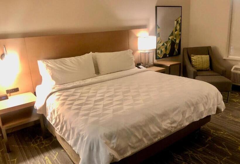 带大床的套房, Holiday Inn & Suites Houston Nw   Willowbrook By Ihg