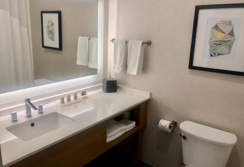 适合残疾人士使用的带超级大床的标准间, Holiday Inn & Suites Houston Nw   Willowbrook By Ihg