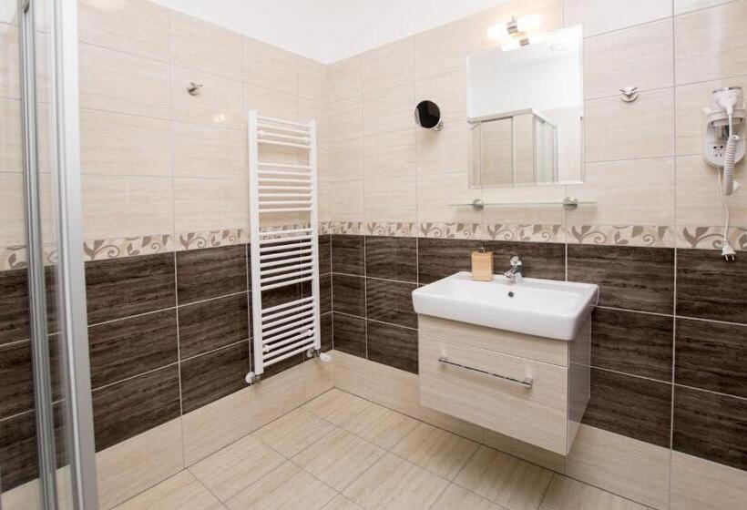 Номер Deluxe Одноместный, Wellness Penzion Medličky