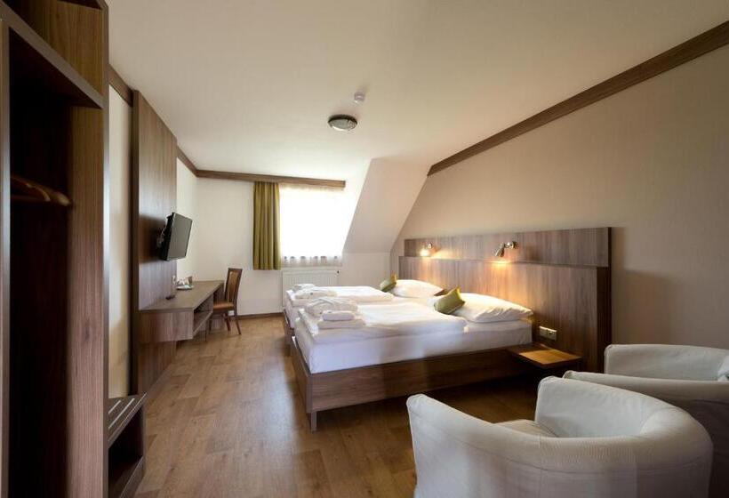 Номер Deluxe Одноместный, Wellness Penzion Medličky