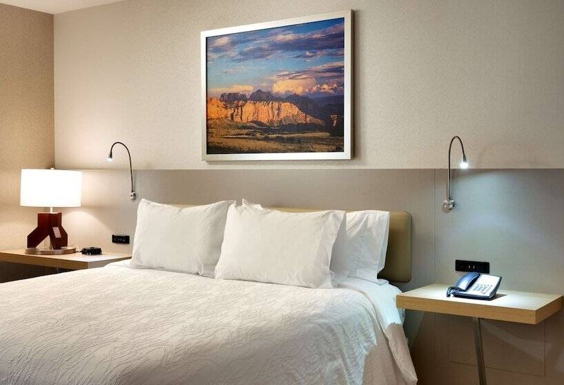 Номер Стандарт Двуспальная Кровать, Hilton Garden Inn Lehi
