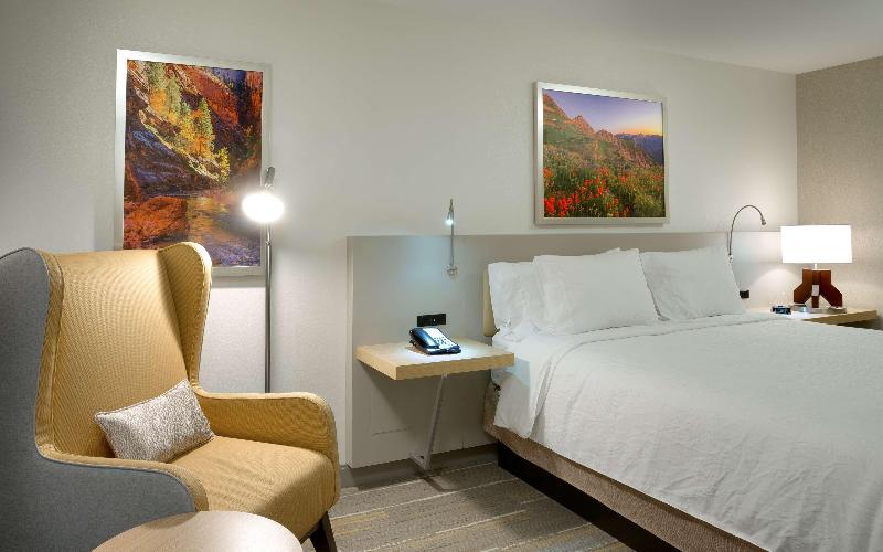 Номер Стандарт, Hilton Garden Inn Lehi