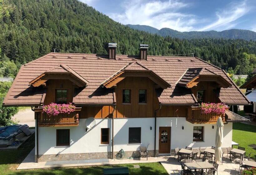 Номер Стандарт, Sogni D'oro