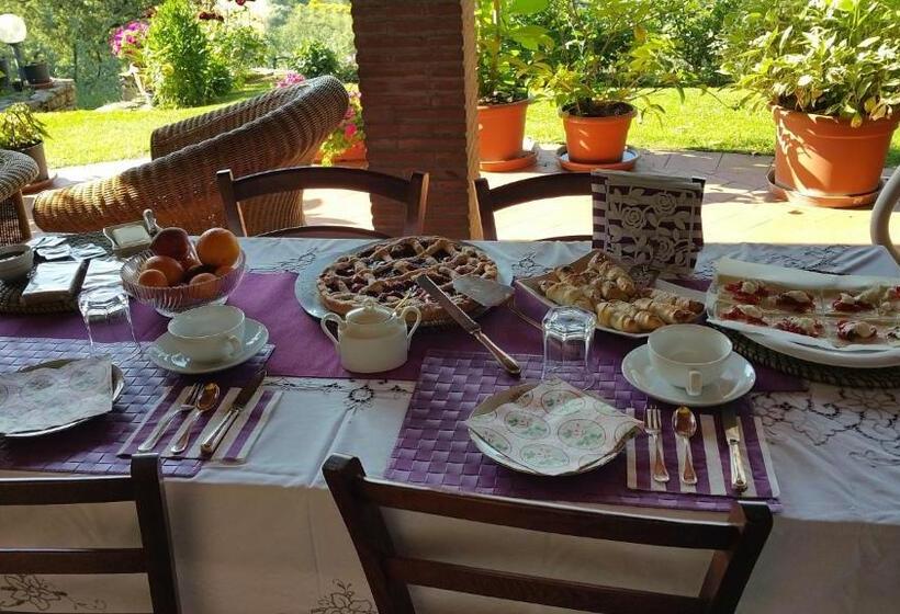 Полулюкс Повышенной Комфортности, Villaspino