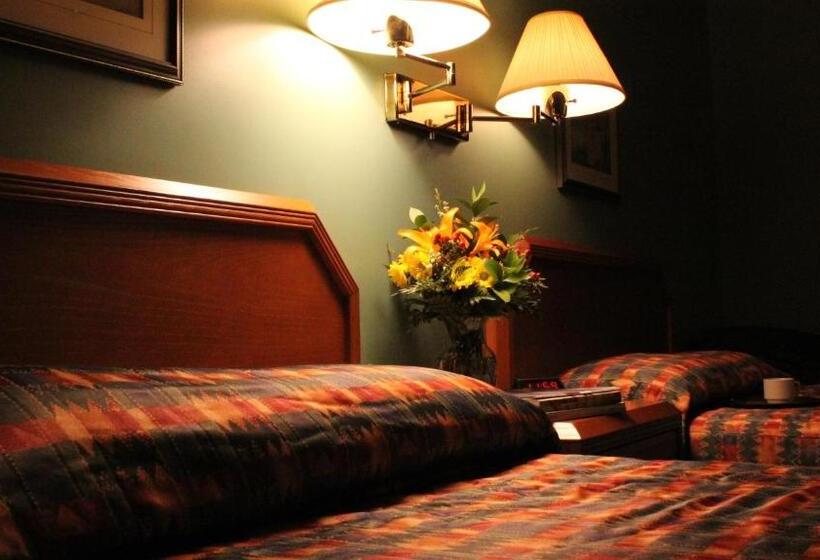 Номер Стандарт 2 Двуспальные Кровати, Hôtel Val Des Sources