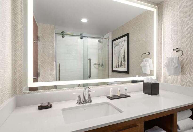 Standard Szoba, Home2 Suites By Hilton Chicago Mccormick Place