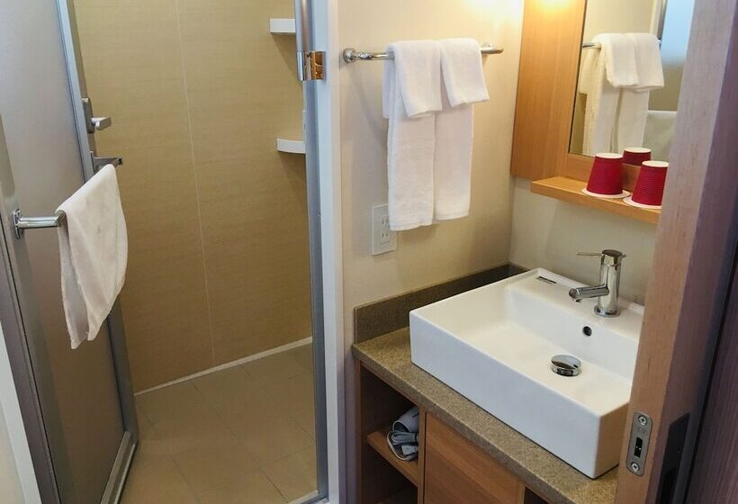 수피리어 룸, Red Roof Inn & Suites Osaka Namba Nipponbashi