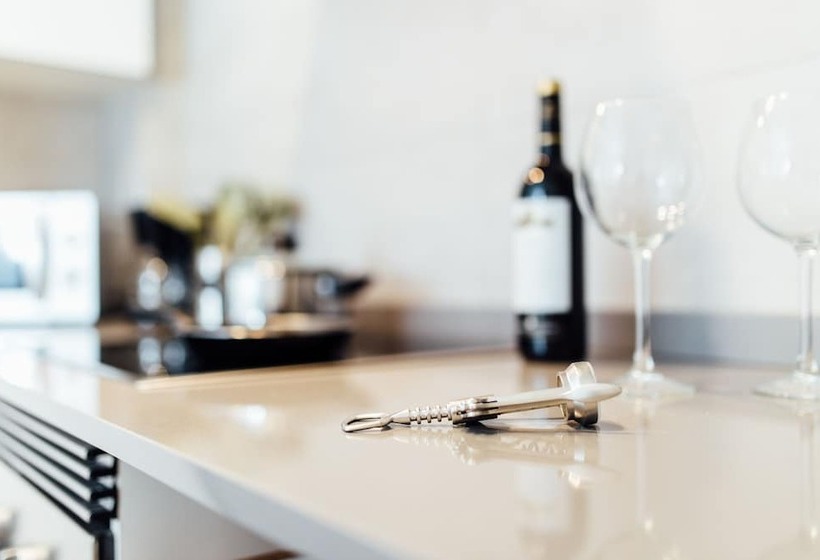 آپارتمان سوپریور 1 خوابه, Botànic Apartaments