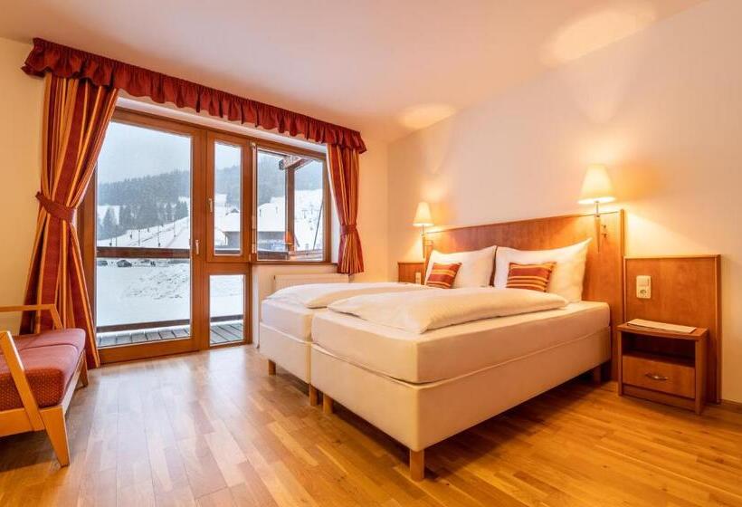 Студия Стандарт, Club Hotel Am Kreischberg