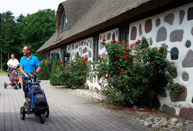 スタンダードルーム, Araslöv Golf & Resort