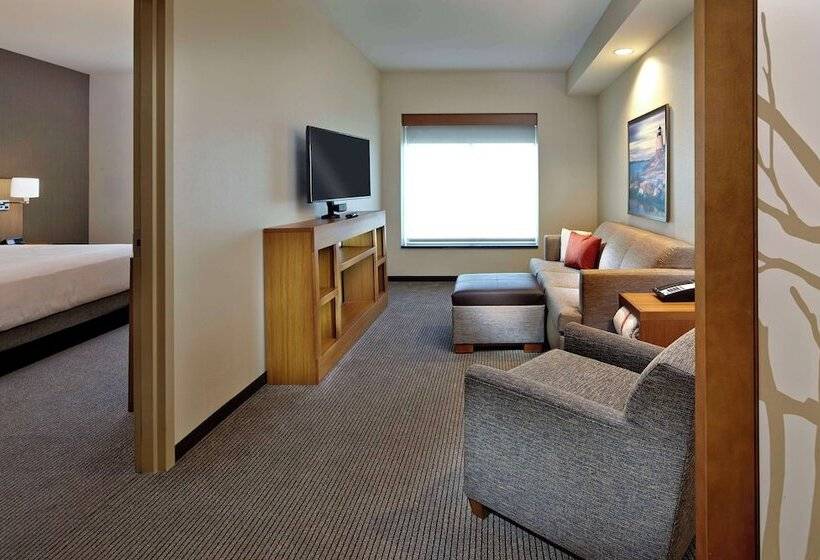 适合残疾人士使用的套间, Hyatt Place Warwick/providence Airport